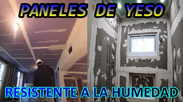 ¿A qué huele el moho detrás de los paneles de yeso?