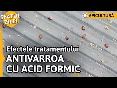 Video: Cum Se Recunoaște Acidul Formic