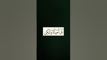 تلاوة سورة البقرة من الآية 153 إلى الآية 157