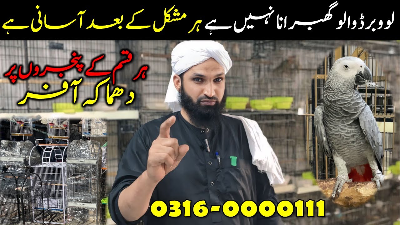 Islami Bhai Birds Shop | Offer 😱 on all Cages | College Road Birds Market. #birdshouse #youtube