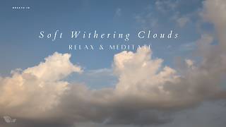 ☁️ Soft Withering Clouds — A Quiet Moment Beneath the Sky 🌿