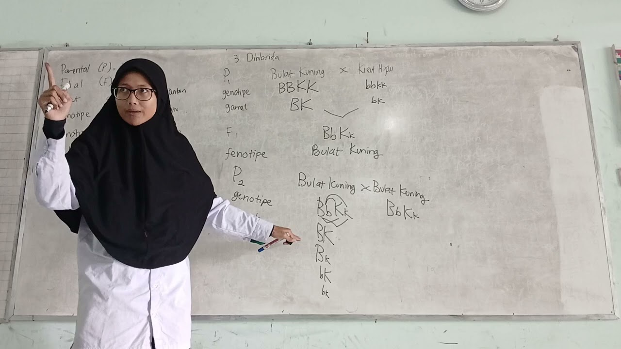 Persilangan Dihibrida