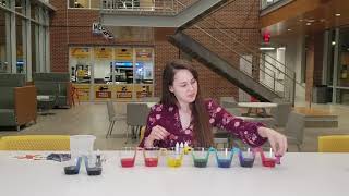 Stay at Home STEAM  - Walking Water Experiment (Grade 3-5)