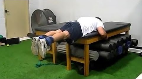 Modified Reverse Hypers