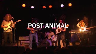 Post Animal - Gelatin Mode chords
