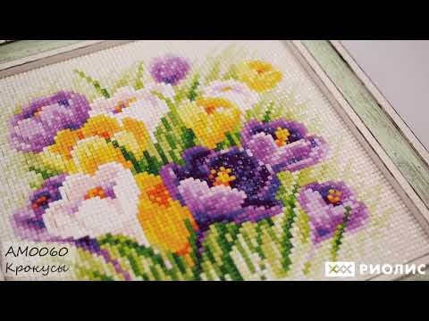 Обзор новинок РИОЛИС