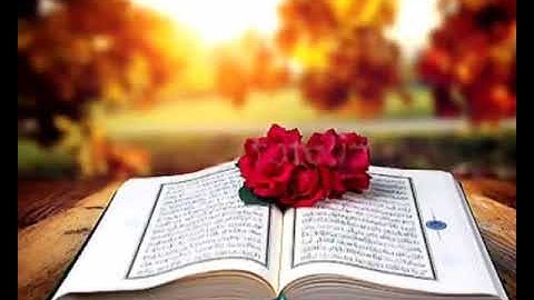 سوره البلد تلاوه عاذبه