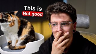 Hilariously Annoying AITA Stories