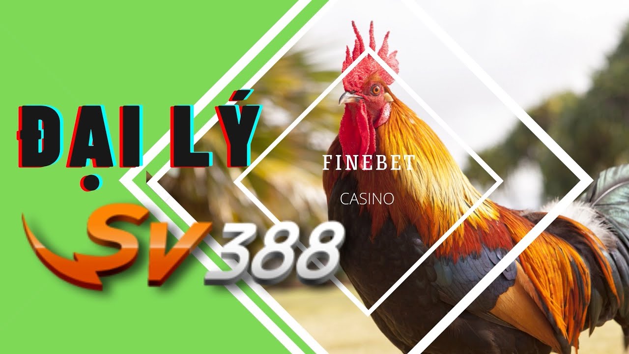8xbet 🐓Đại Lý SV388 Hướng Dẫn Mở Đại Lý Đá Gà Thomo SV388 Từ A Đến Z