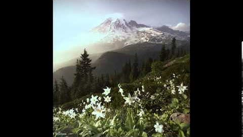 تلاوه  خاشعه  سورة الانفطار