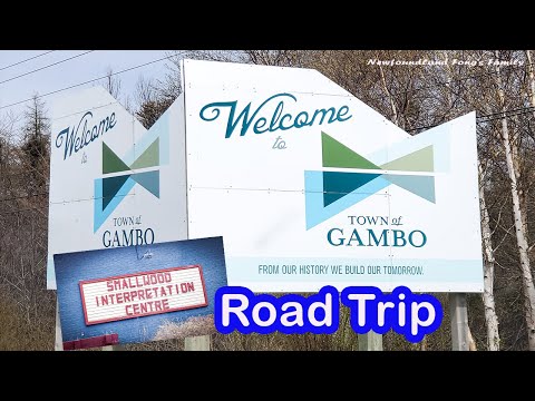 Gambo Road Trip Newfoundland Canada