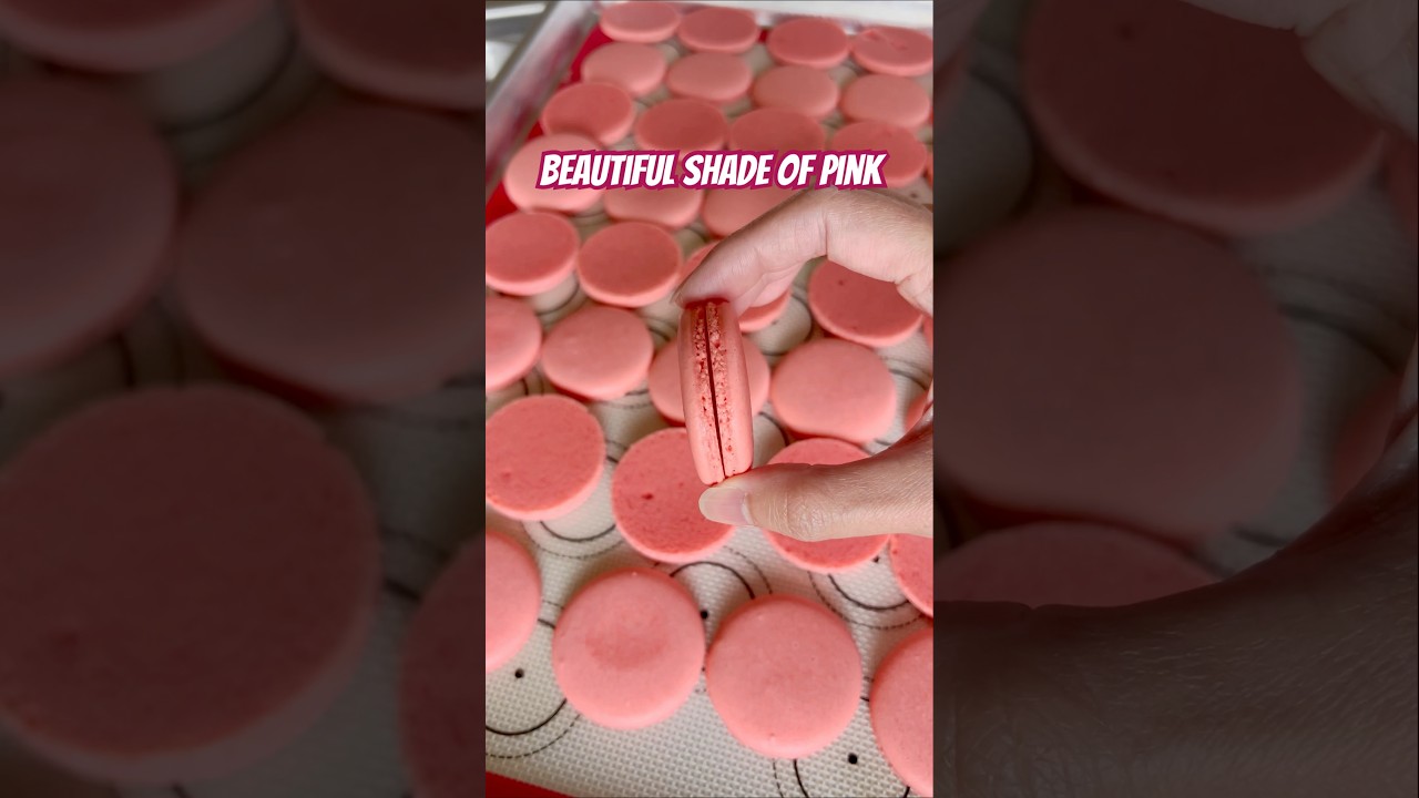 Macarons in Pink 