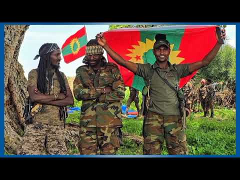 Oduu Ammee Injifannoo WBO Guyyaa Har Aa Sadaasa 24 2025 