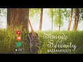 Sounds of serenity full album  beautiful acoustic instrumental background music for