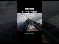 タコは最強🐙 #小笠原 #釣り #ロックショア #fishing