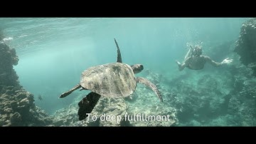 The Argonauts Trailer | Why Is What We Do