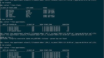 Enforcing the Foreign Key Constraint