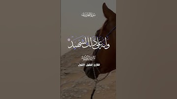 سورة العاديات #القارىء_الخليل_الأشول #اكسبلور #السعودية #راحة_نفسية #لايك #حالات_واتس