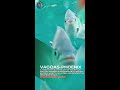 🌴 Welcome to Mauritius: Explore Paradise on Earth!