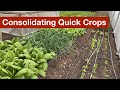 Consolidating Quick Crops