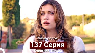 картинка: Зимородок 137 Cерия (Короткий Эпизод) (Русский дубляж)