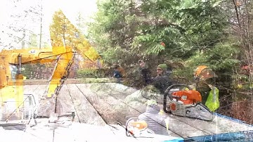 Operation Christmas Tree