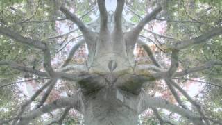 Jamuroo, Thuns & Gsell - Seven Steps To Heaven