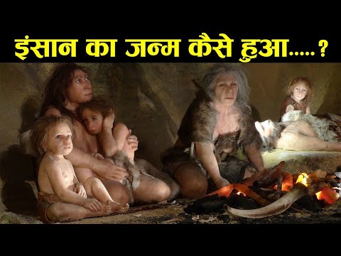 वीडियो: मास्को में मेडागास्कर -3 कहां देखें