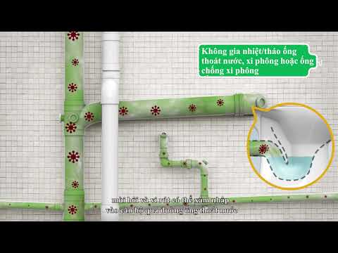 Video: Bảo hiểm chủ nhà có bao gồm đường ống thoát nước không?