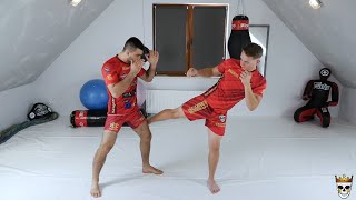 Low Kick/ Middle Kick