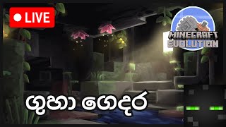 Minecraft Evolution Survival Live | ගුහා ගෙදර | Day 01.