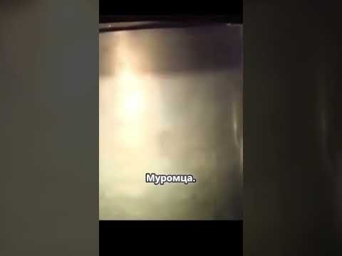 Челябинские мужики 👍😂 #юмор #нашараша #прикол #смех #юмористическийконтент