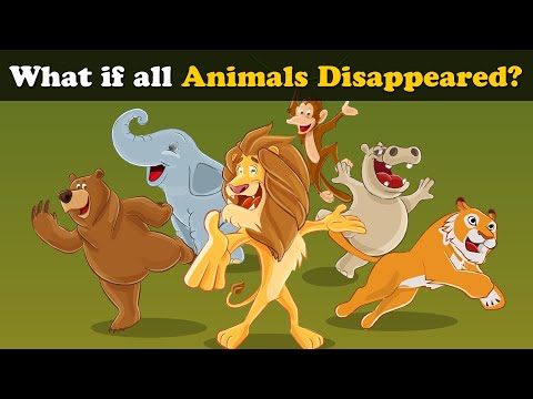 Video: What Kinds Of Animals Have Disappeared Due To Human Fault