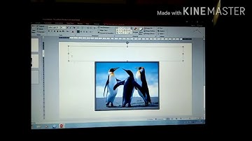 Class-5 Subject -Computer  Topic -L-5 MS PowerPoint 2010- Editing and formatting slides Hetal Gajera