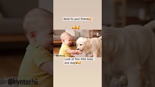 Cute relationship😻 #trending #cat #funny #viral #cute #pets #usa #memes #deutschland #kitten #baby