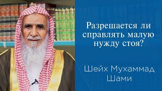 Разрешается ли справлять малую нужду стоя? | Шейх Мухаммад Шами