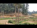 在天地之间我是孤独的 但是想到庄子 会感到一些慰籍 在天地之间我是孤独的 但是想到庄子 会感到一些慰籍
