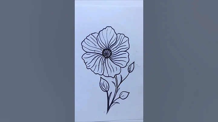 Flower drawing easy #flower #shorts #drawing thumbnail