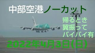 2022年4月3日(日)  中部国際空港  フライングホヌ  カイ  ANA  遊覧飛行  ノーカット