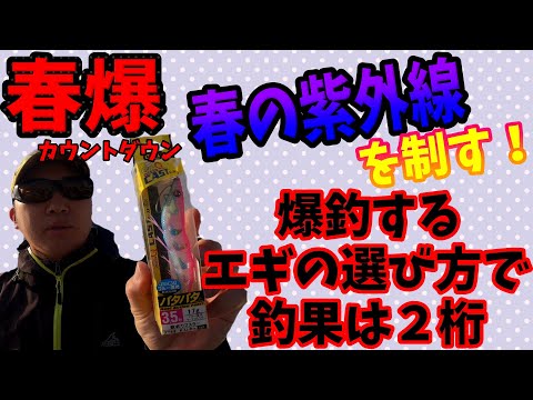 春爆 爆釣するエギの選び方１つで釣果は２桁余裕 紫外線を理解しよう Youtube