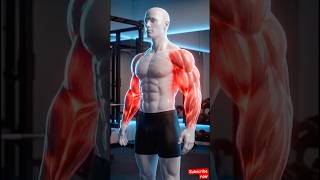 The Superset Routine That Builds Bigger Arms Fast