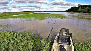 ISCA INFALIVEL PARA TRAIRA  O DIA DA PESCA  PESCARIA  FISHING  PEIXE  LAGO