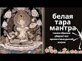 Мантра Белой Таре -увеличении мудрости,  заслуги, счастье, долголетие [1 час]