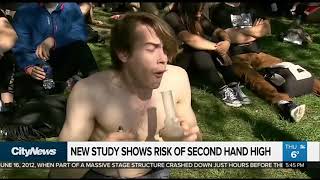 Detailed New study shows risks of second hand marijuana smoke Details
