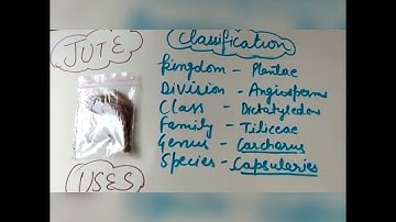 collection file of Economic botany