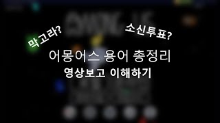 자주쓰는 어몽어스 용어(단어) 총정리, 용어 설명과 이해하기