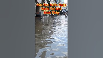CẦN THƠ NƯỚC NGẬP 763 #shorts