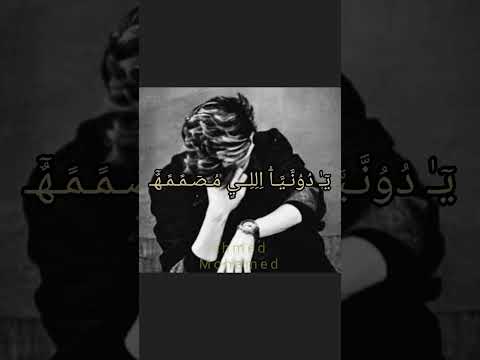 برغم البعد وكسرت حلات وتس فيس