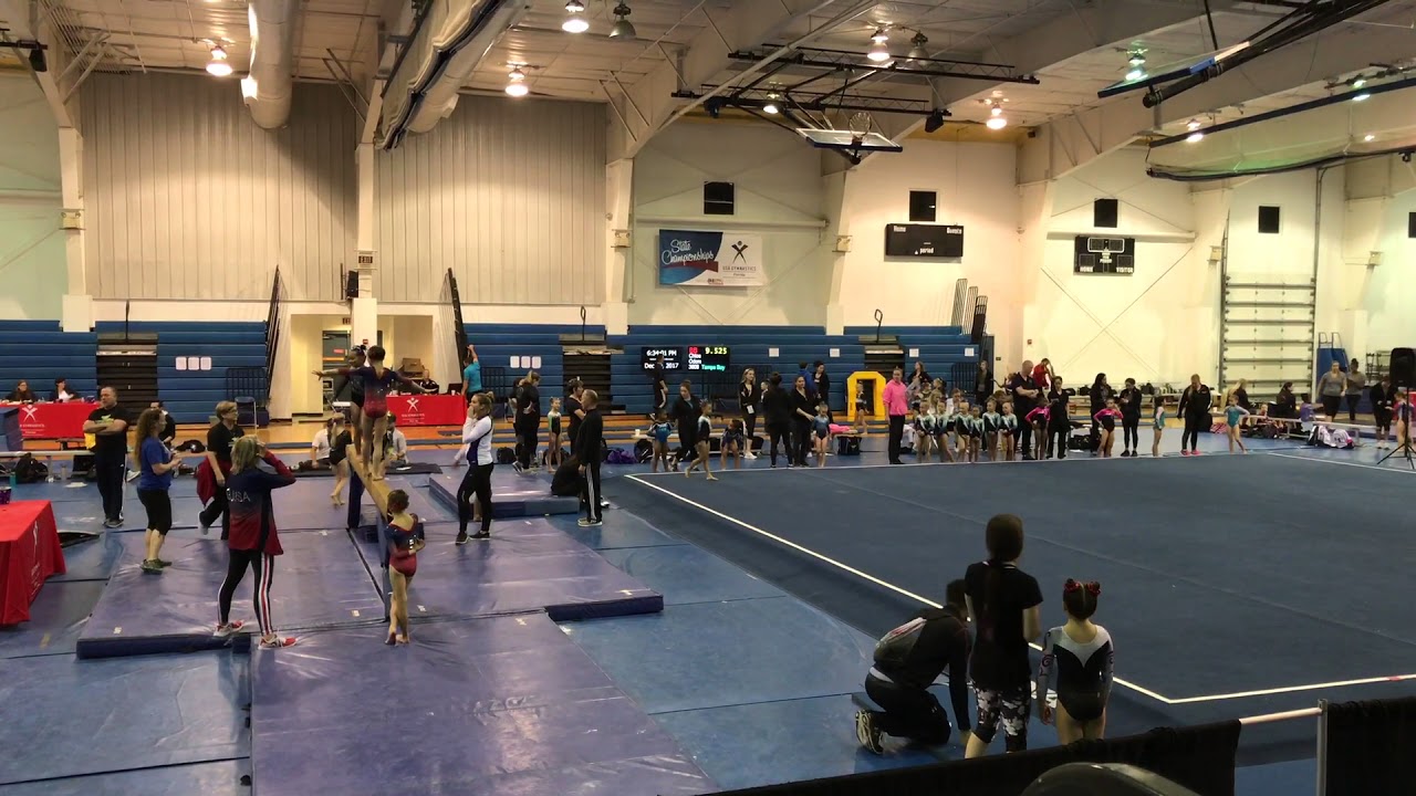 FL USA Gymnastics Level 3 State Championships Vault 2017 YouTube