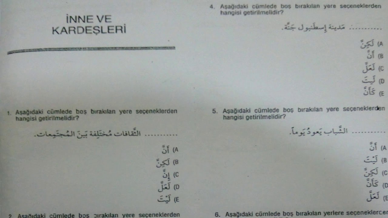 İnne ve benzerleri kardeşleri soru çözümü